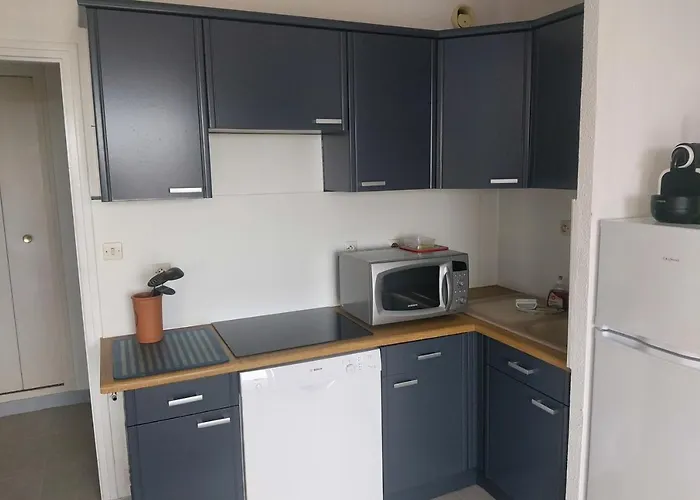 Naturiste Cap D'agde Heliopolis F 71 公寓